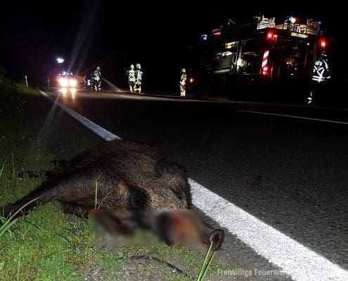 Verkehrsunfall - Fahrzeug kollidiert mit einer Rotte Wildschweinen