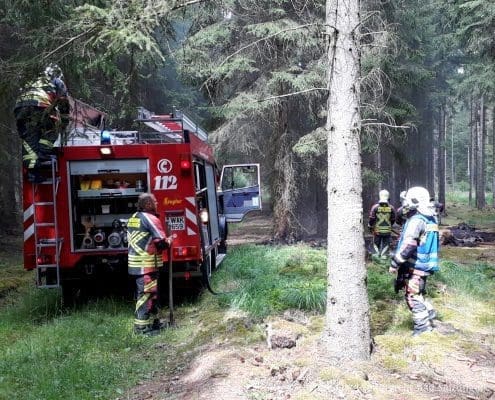 Flächenbrand im Langenfleder Wald - Feuer rechtzeitig bemerkt!